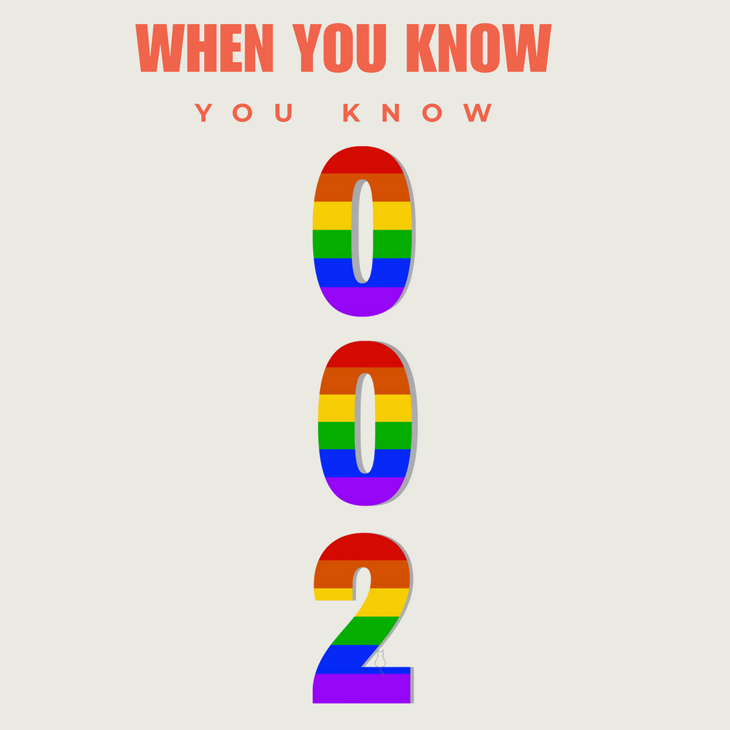 Stainless Steel 002 Pickleball Pride Hydration Bottle | BPA-Free, Leak-Proof, 20oz Sports Bottle | LGBTQ2 | Player Gift